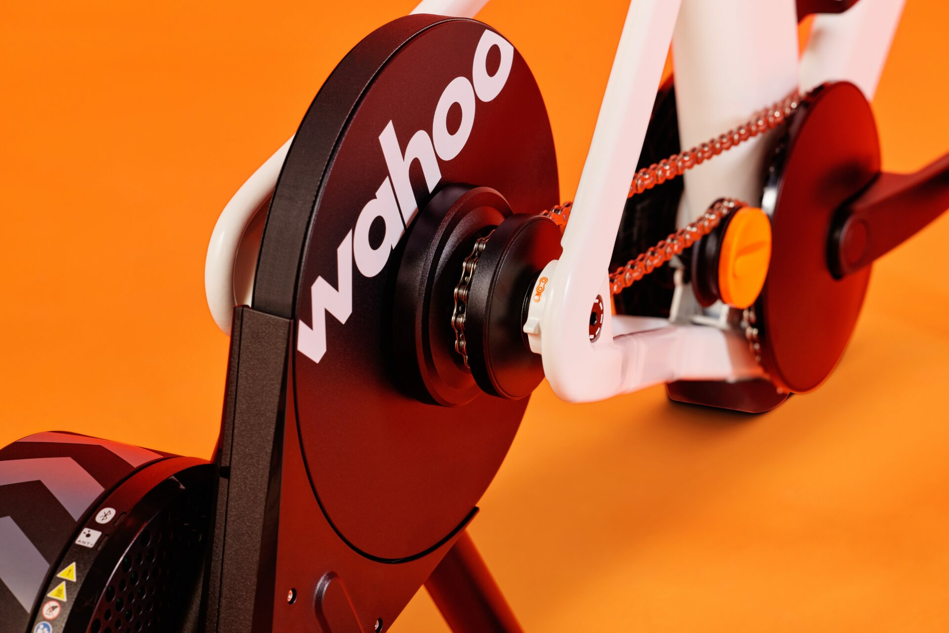 Zwift ride cog wahoo